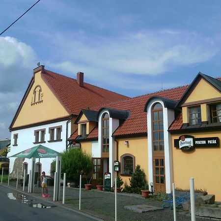 Penzion Paták Kamyk nad Vltavou Exterior foto