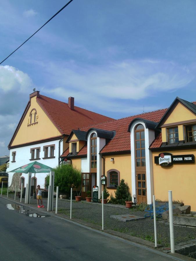 Penzion Paták Kamyk nad Vltavou Exterior foto