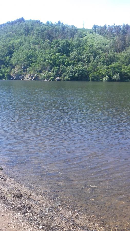 Penzion Paták Kamyk nad Vltavou Exterior foto