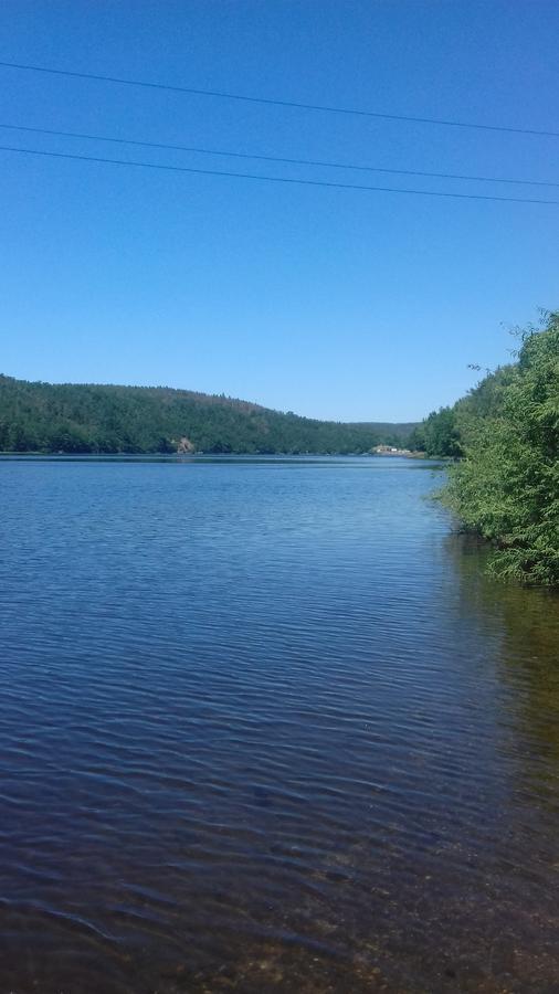 Penzion Paták Kamyk nad Vltavou Exterior foto
